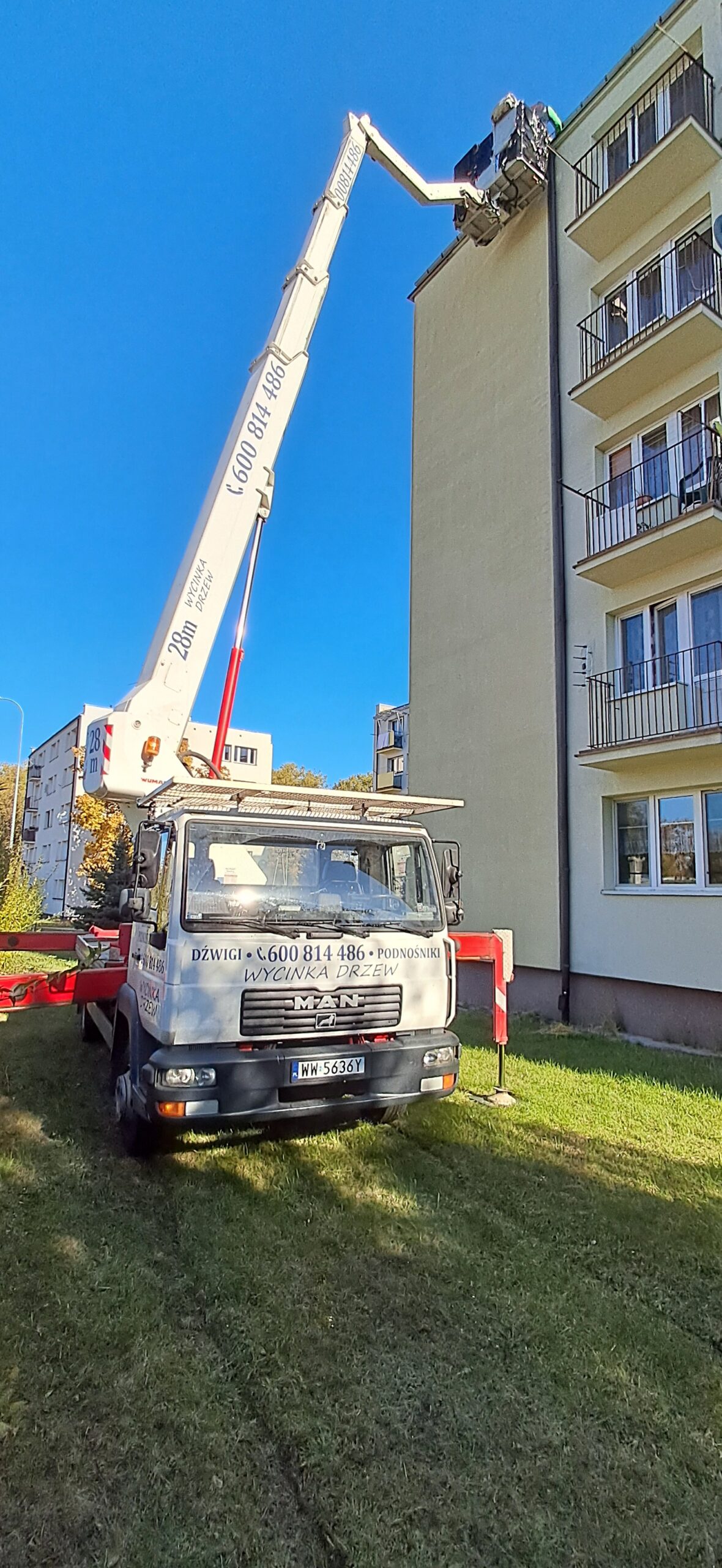 Realizacja usług dźwigowych w Płońsku i okolicach